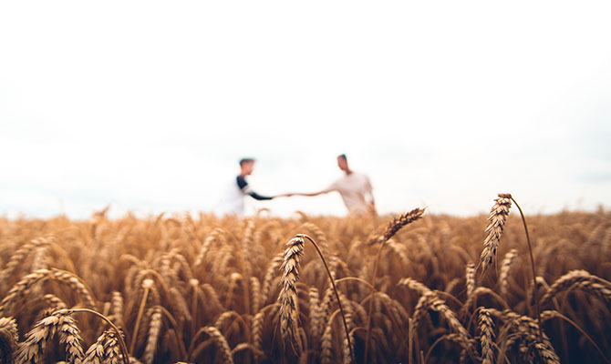 Two farmers shaking hands in Barley field